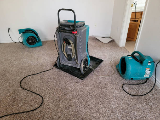Best Basement water damage restoration  in Vernal, UT