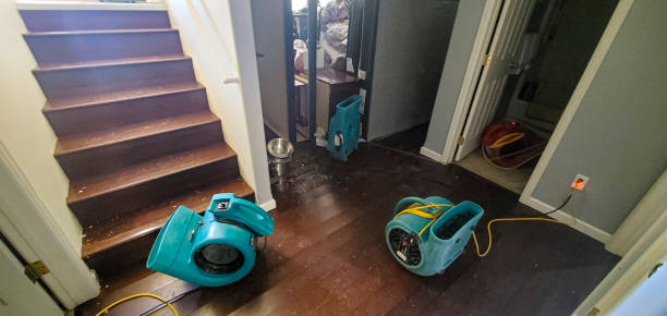 Best Flood restoration services  in Vernal, UT