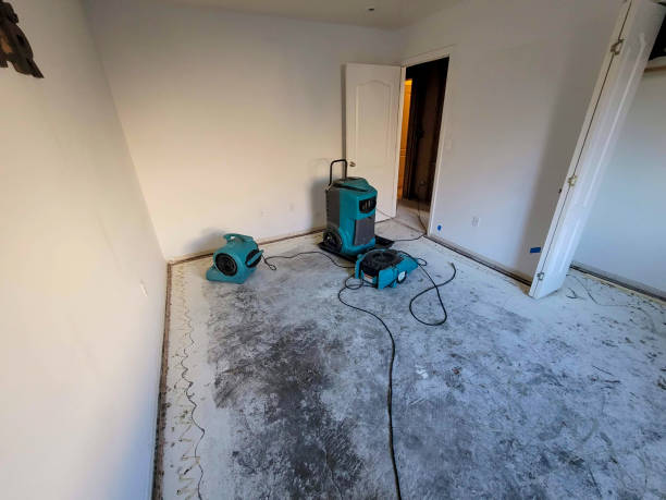 Carpet water damage restoration in UT