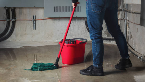 Best Water damage cleanup near me  in Vernal, UT
