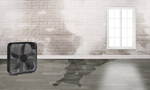 Best 24/7 water damage repair  in Vernal, UT