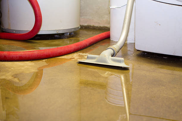 Best Sewage cleanup and water damage restoration  in Vernal, UT